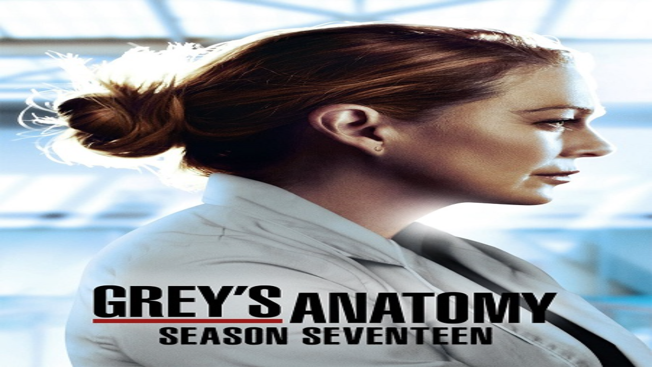 مسلسل Grey’s Anatomy الموسم السابع عشر الحلقة 6 مترجمة كاملة HD