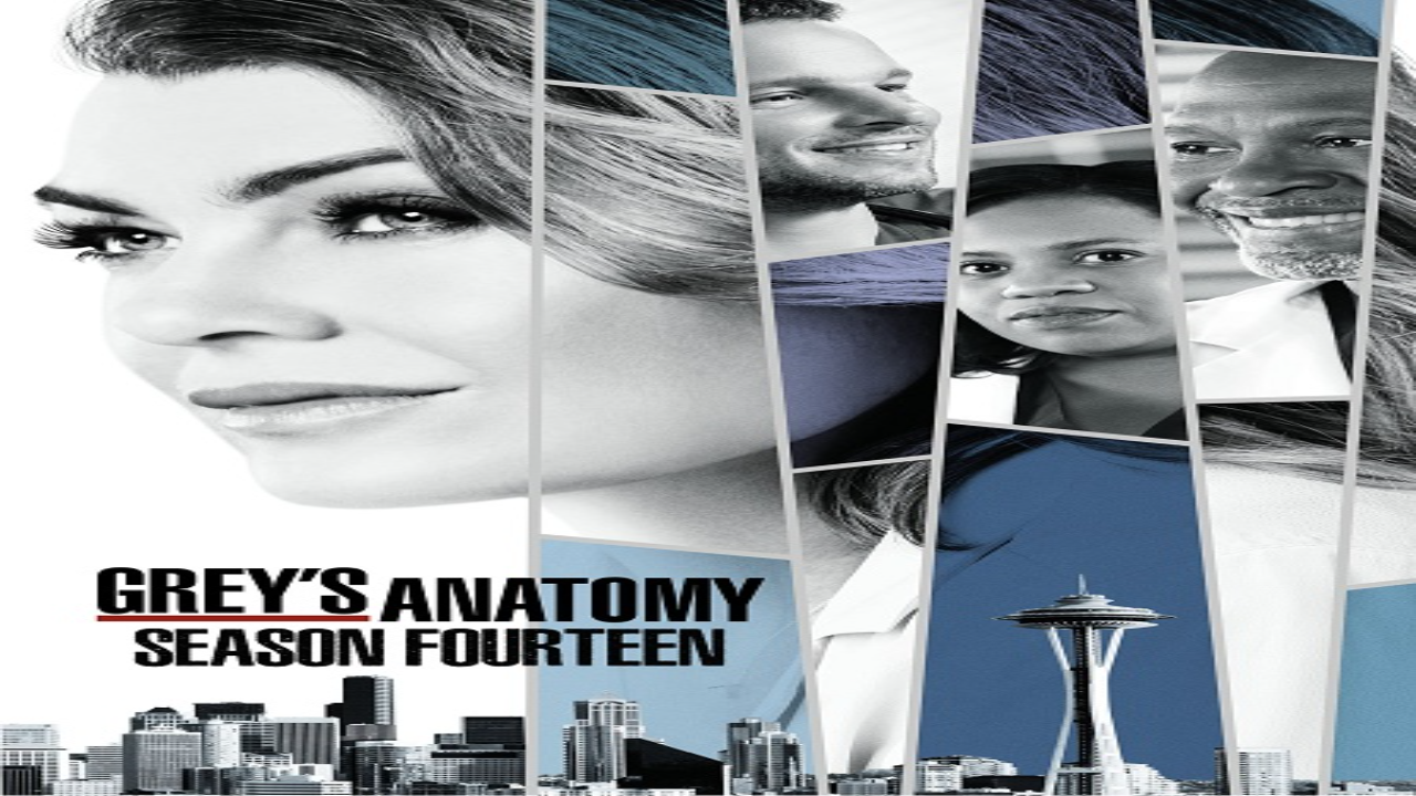 مسلسل Grey’s Anatomy الموسم الرابع عشر الحلقة 16 مترجمة كاملة HD