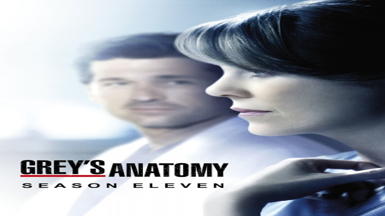 مسلسل Grey’s Anatomy الموسم 12 الحلقة 12 مترجمة كاملة HD